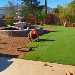 Fresh Sod Installation 