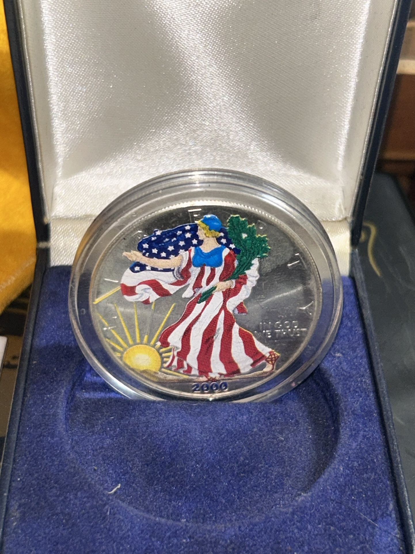 2000 silver eagle 1 ounce with lady Liberty on front painted