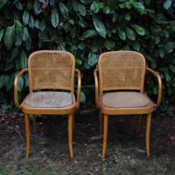 Project Bentwood Chairs Josef Hoffman For Stendig