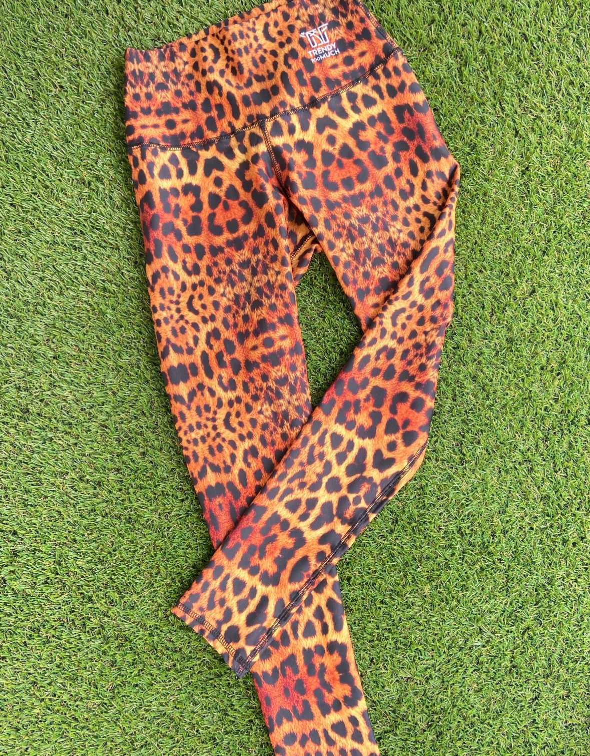 Leggings Animal Print
