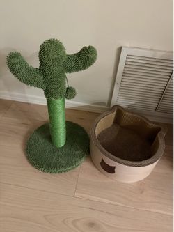 Cat Scratch tree & box
