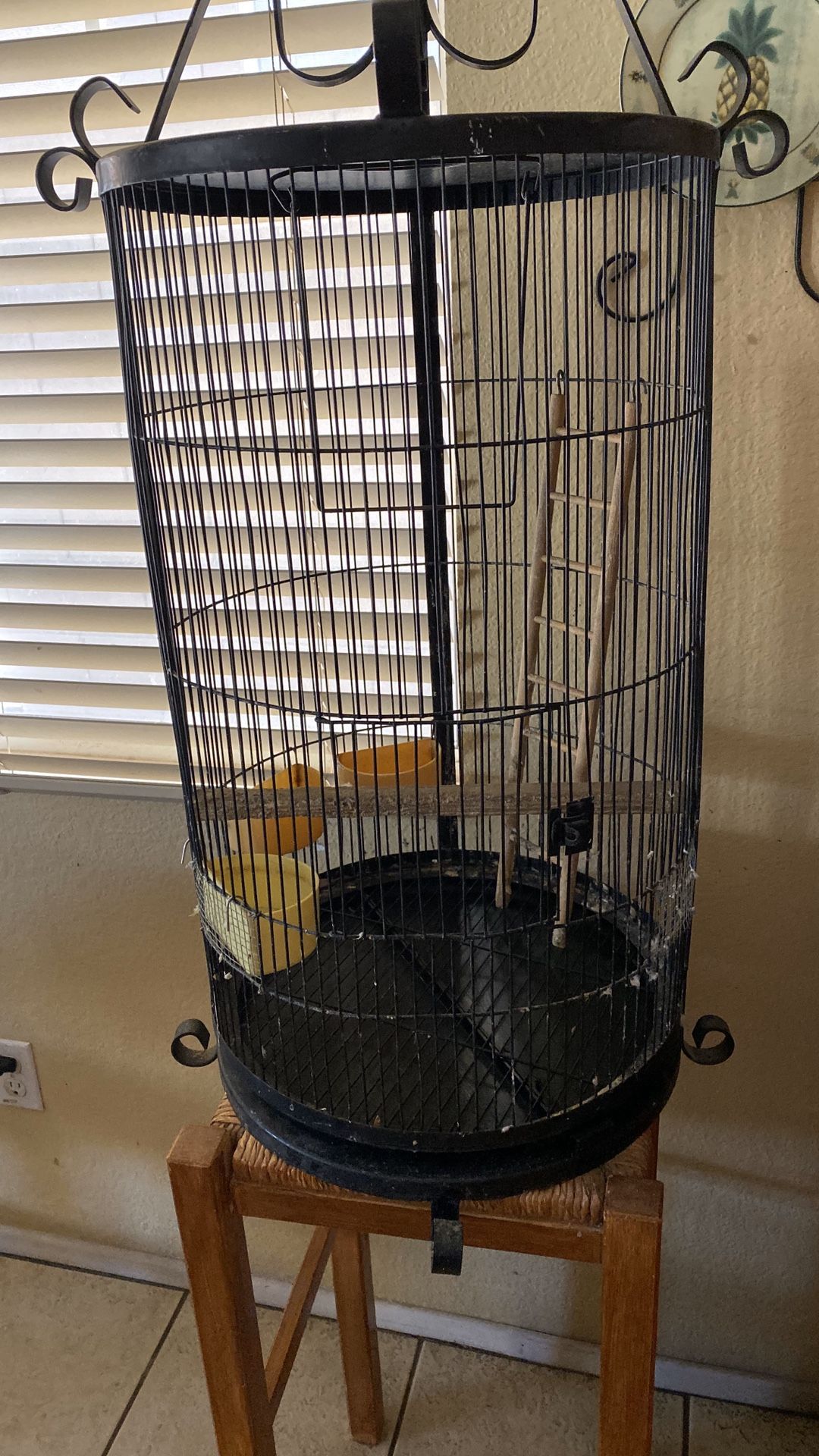 Bird cage for sale