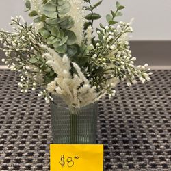 Succulents And Fake Plants 