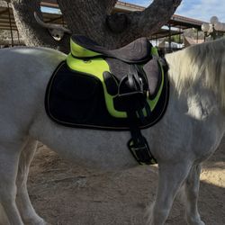 Freemax synthetic treeless English horse saddle