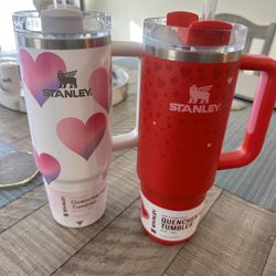 Valentines Day Stanley 