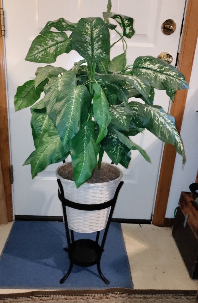 Metal Plant Stand w/Plant!