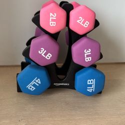 Dumbbell Set - 2, 3, And 4 Lbs 