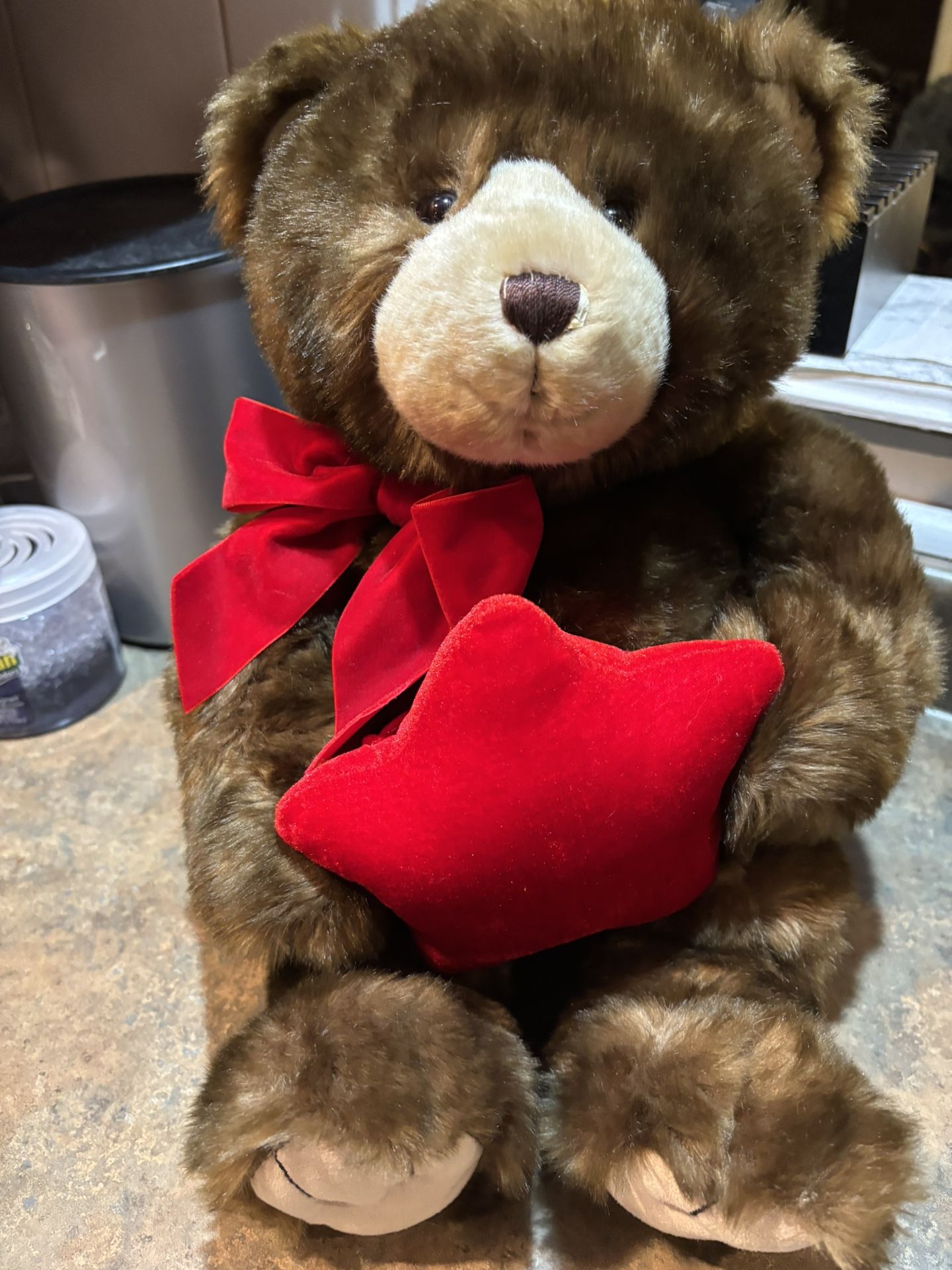 Gund Teddy Bear holding Star