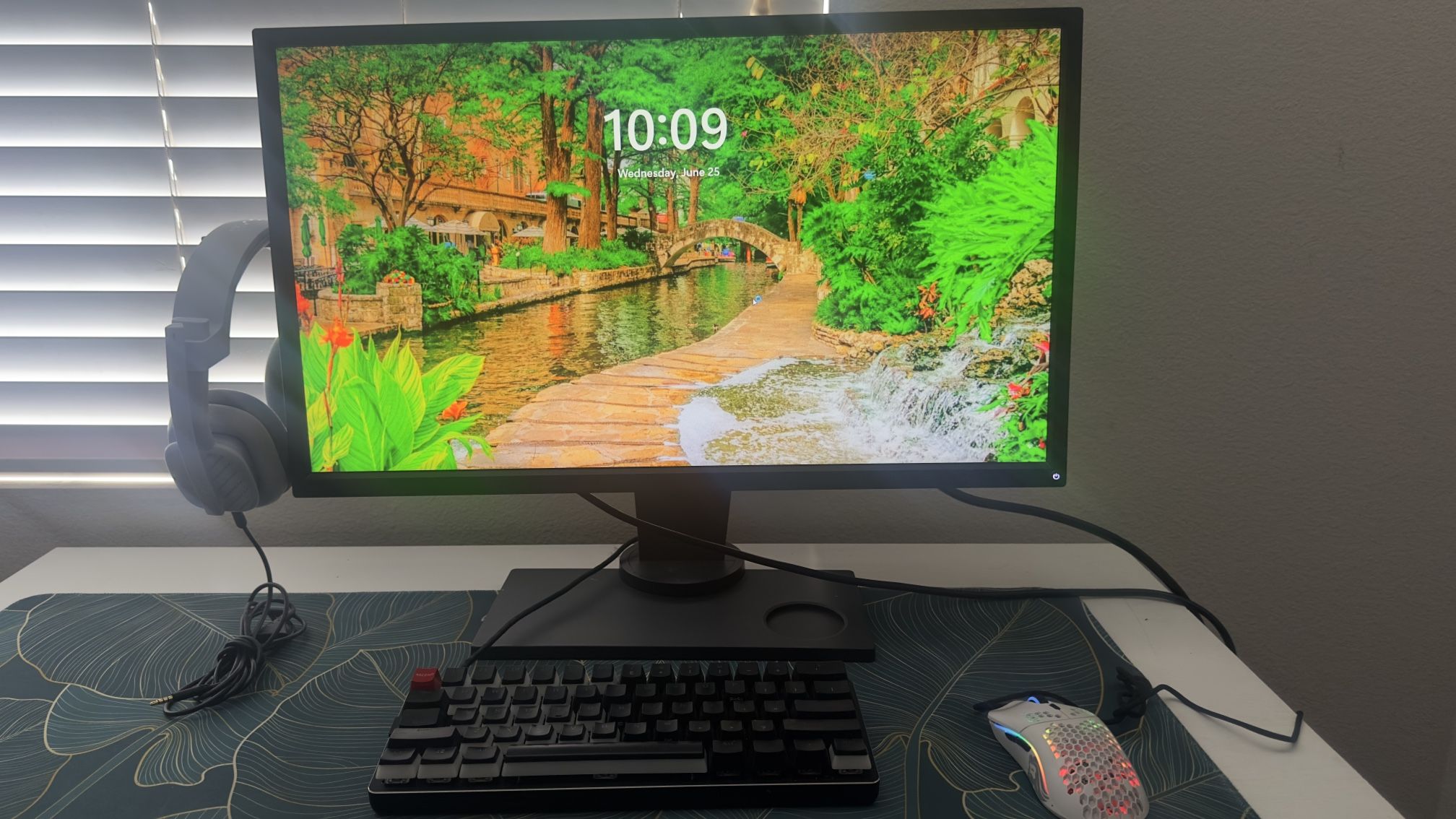 BenQ ZOWIE 240hz 24.5” Monitor