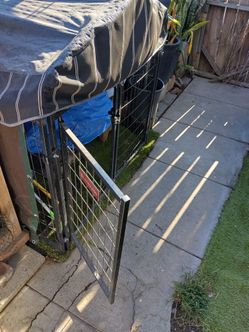 Dog Crate