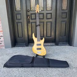 DEARMOND PILOT PRO V  And Soft Case Guitar 