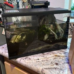 Free 5 Gallon Aquarium 