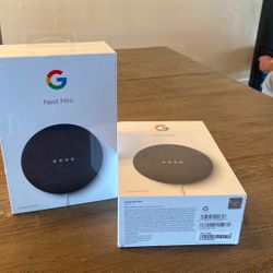 Google Nest mini Speaker