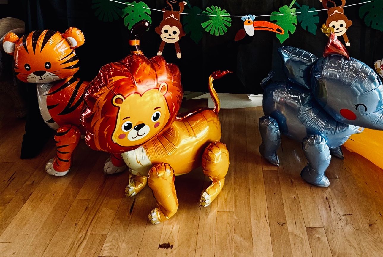 Party Supplies For Kids Events