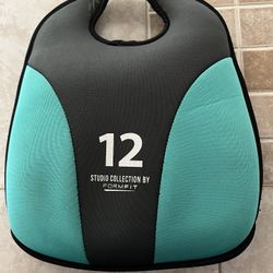 12 Lb Workout Bag 