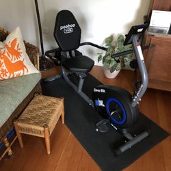 Exercise Bike PoobooW258