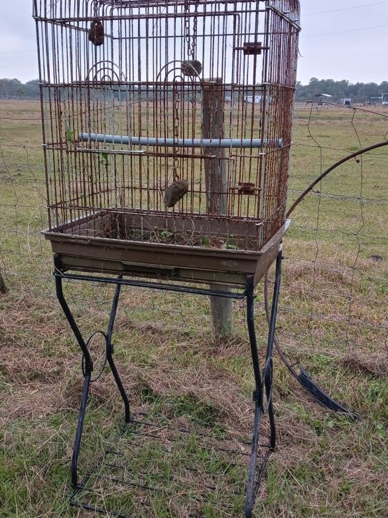 Animal Cages