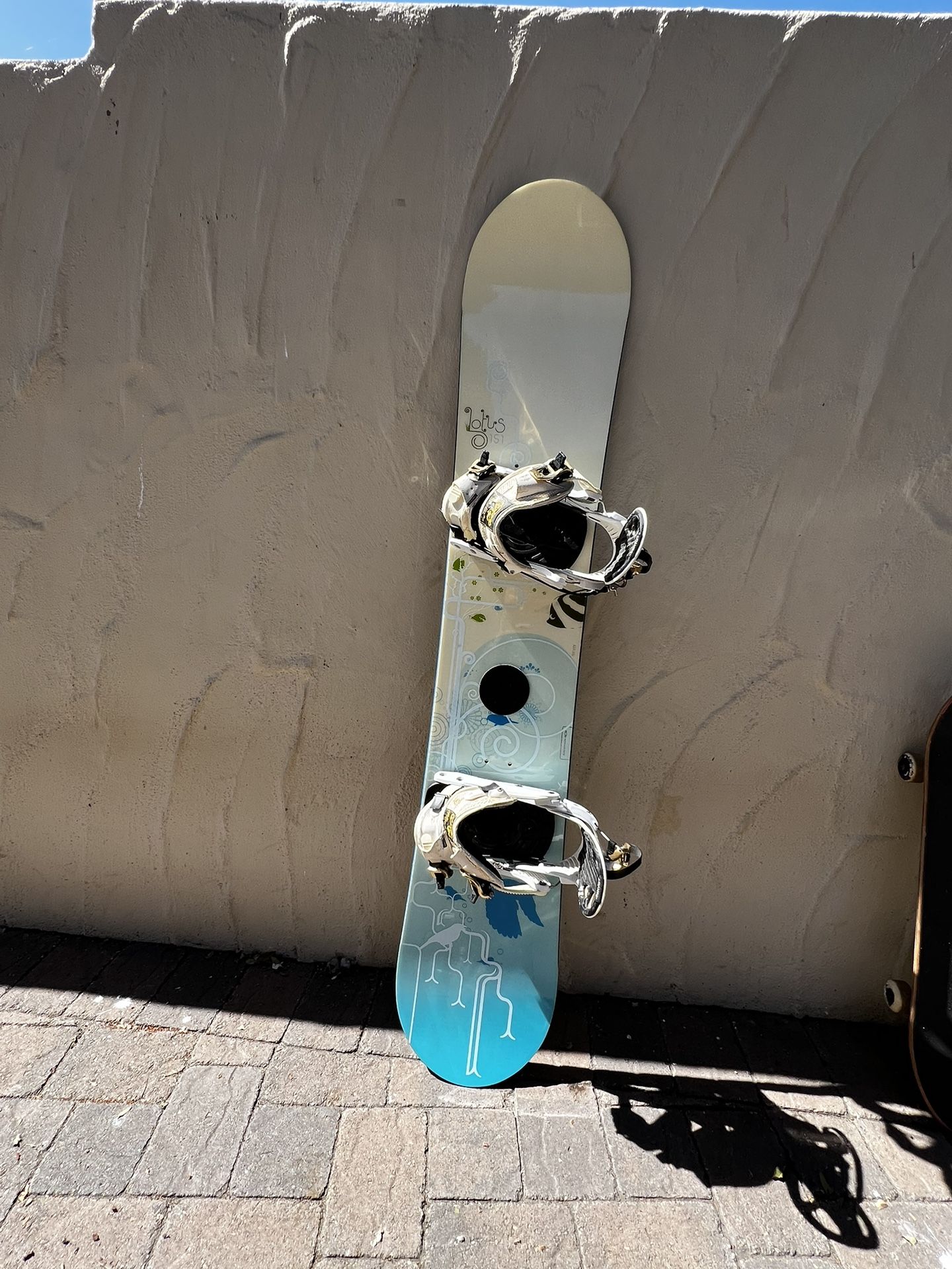 Salomon Lotus 151 Snowboard