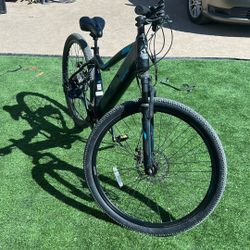 Schwinn E Bike 