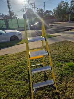 Gorilla ladder