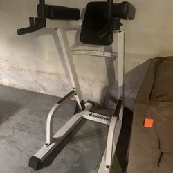 Nautilus Knee Vertical Raise w/ Dip