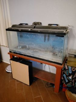 50 Gallon Aquarium/Terrarium with Stand.