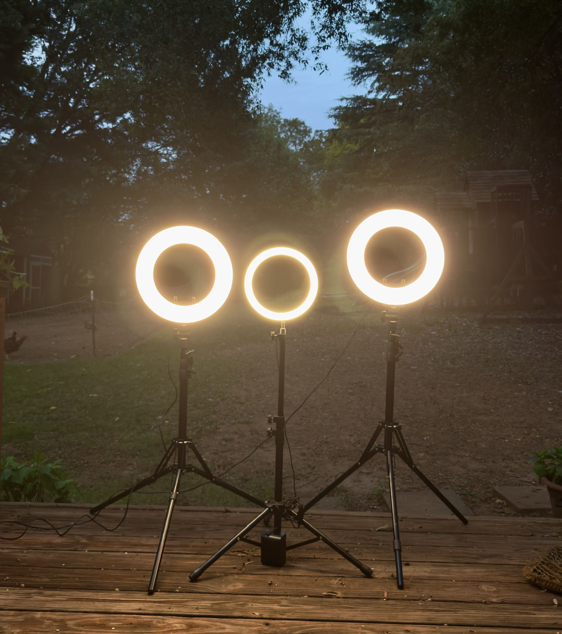 ESDDI 3 point light kit. LED bicolor ring light set