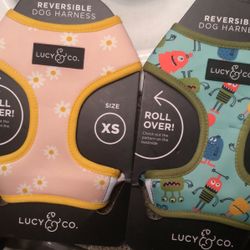 Lacy & Co. Dog HARNESSES 