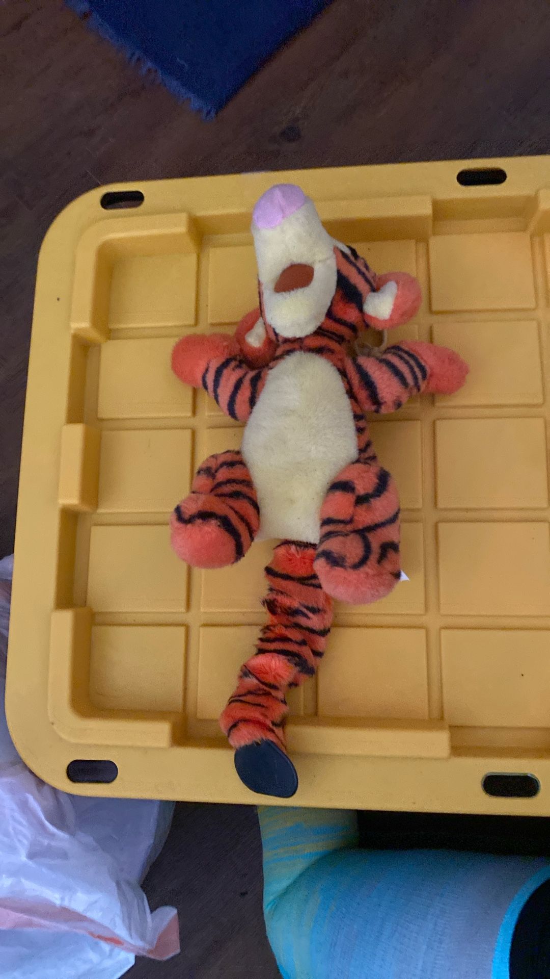 Musical Tigger Plush