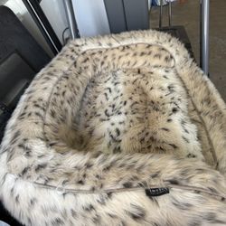 Dog Bed