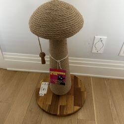 Cat Mushroom Tree 