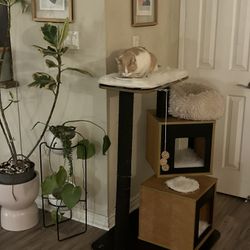 Catit Vesper Modern Wood Cat Tree / Tower – Large Designer Style