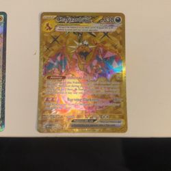 Pokémon Training Cards