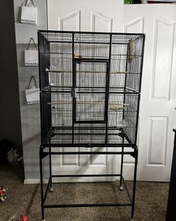 Bird Cage