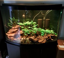 Fish Tank 40 Gallon Glass Bow Front Complete / With Stand