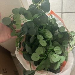 Fake Eucalyptus Vines