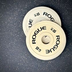 Rogue Fitness 10 LBs Change Plates