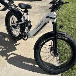 Puckipuppy Boxer ST E-Bike