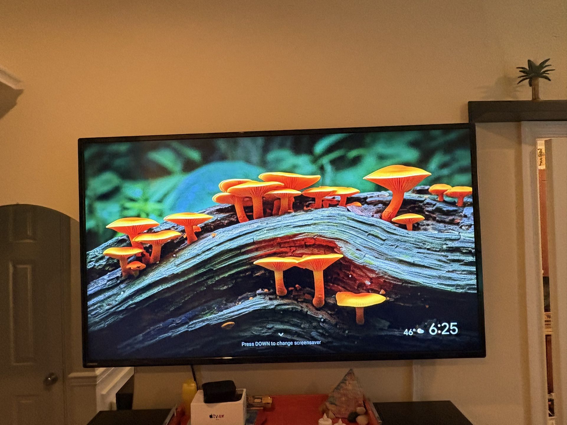 55’ 4K Smart Google tv