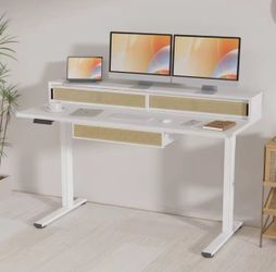 FlexiSpot Q4 Electric Standing Desk