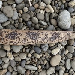 Sea Turtle Driftwood