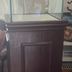 Museum Showcases in Real Wood - Square Tower Locking Display Case