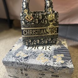 Christian Dior mini bag only used once with arm strap #luxury #fashion