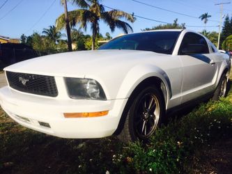 Mustang 2005