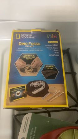 Dino Fossil dig kit