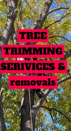 Tree Sale