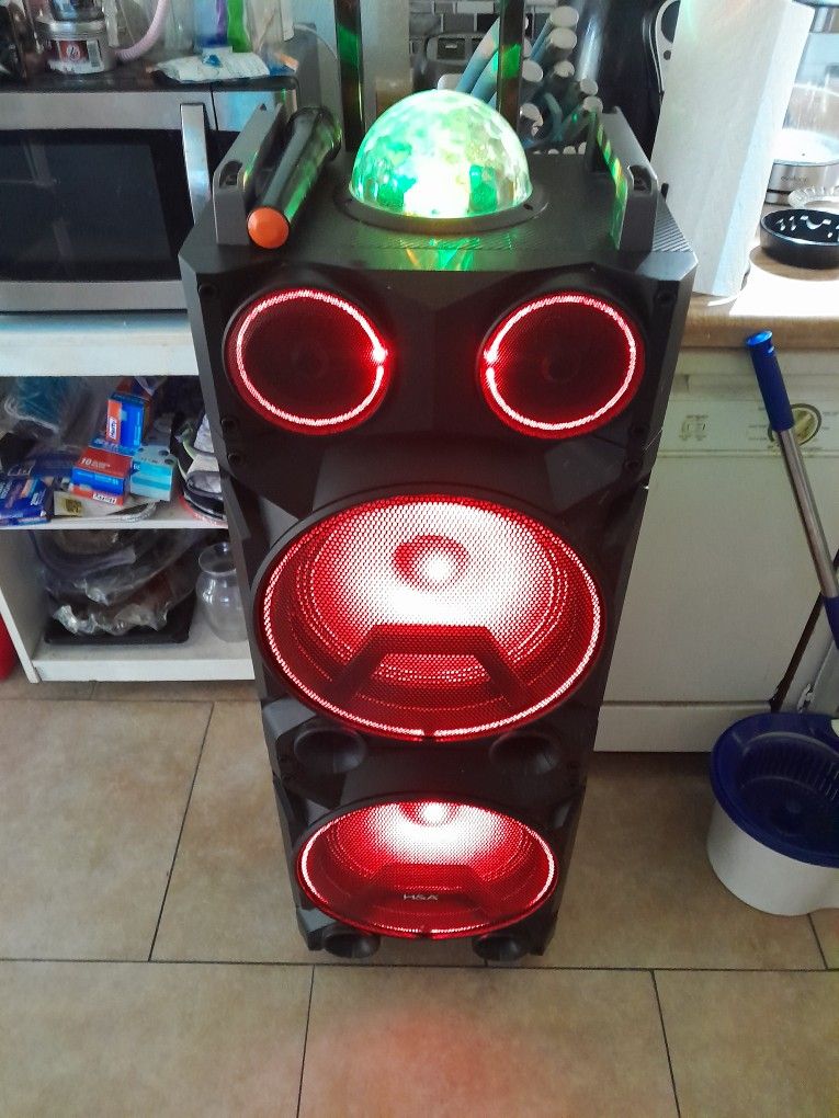 Speaker Box With Two Mics