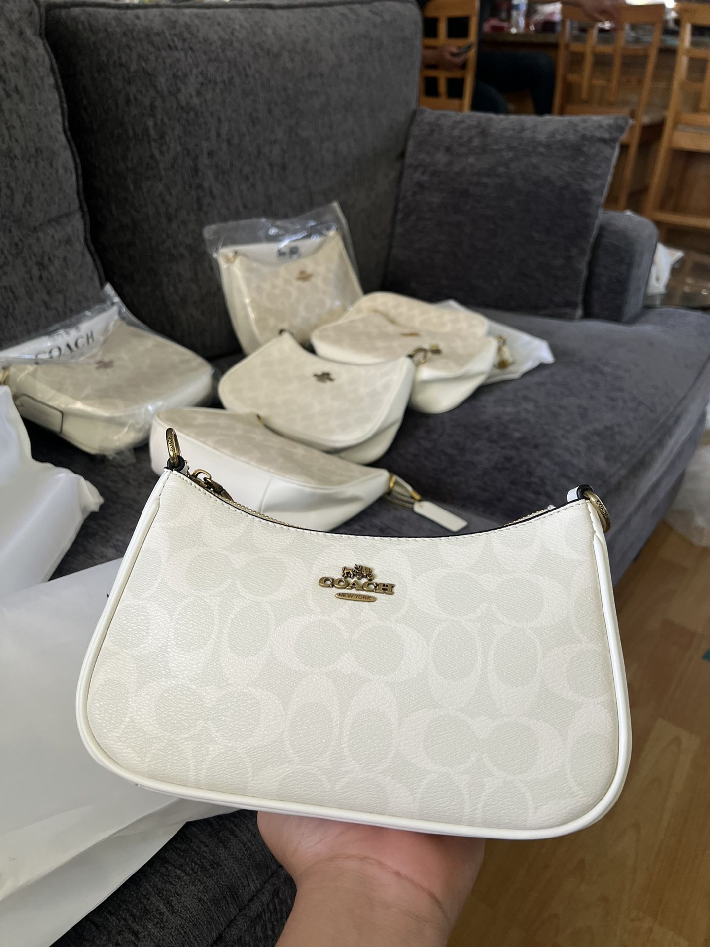 Teri Coach Hand Bag