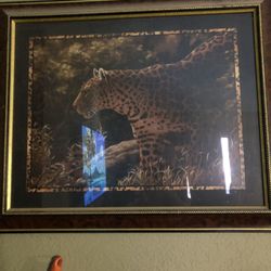 Home interior Safari Picture