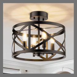 Brand New Ceiling Light